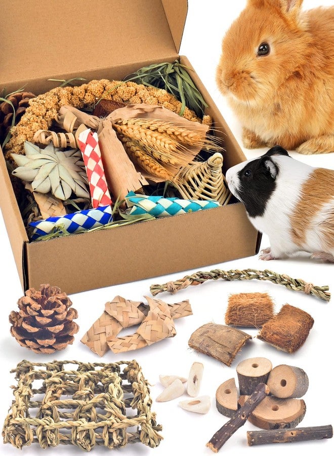 Bissap Rabbit Chew Toy, Natural Bunny Treats Snacks with Timothy Hay Water Grass Mat Coconut Husk Box for Guinea Pigs Chinchillas Hamsters Gerbils and Other Small Pets Teeth Grinding - Image 1